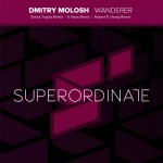 Dmitry Molosh - Wanderer Remixes