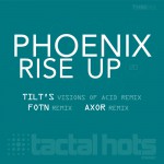 Phoenix - Rise Up (Tactal Hots Music)