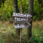 Let’s Plant A Techno Forest